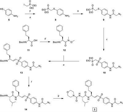 Application of a Highly Selective Cathepsin S Two-step Activity-Based Probe in Multicolor Bio-Orthogonal Correlative Light-Electron Microscopy